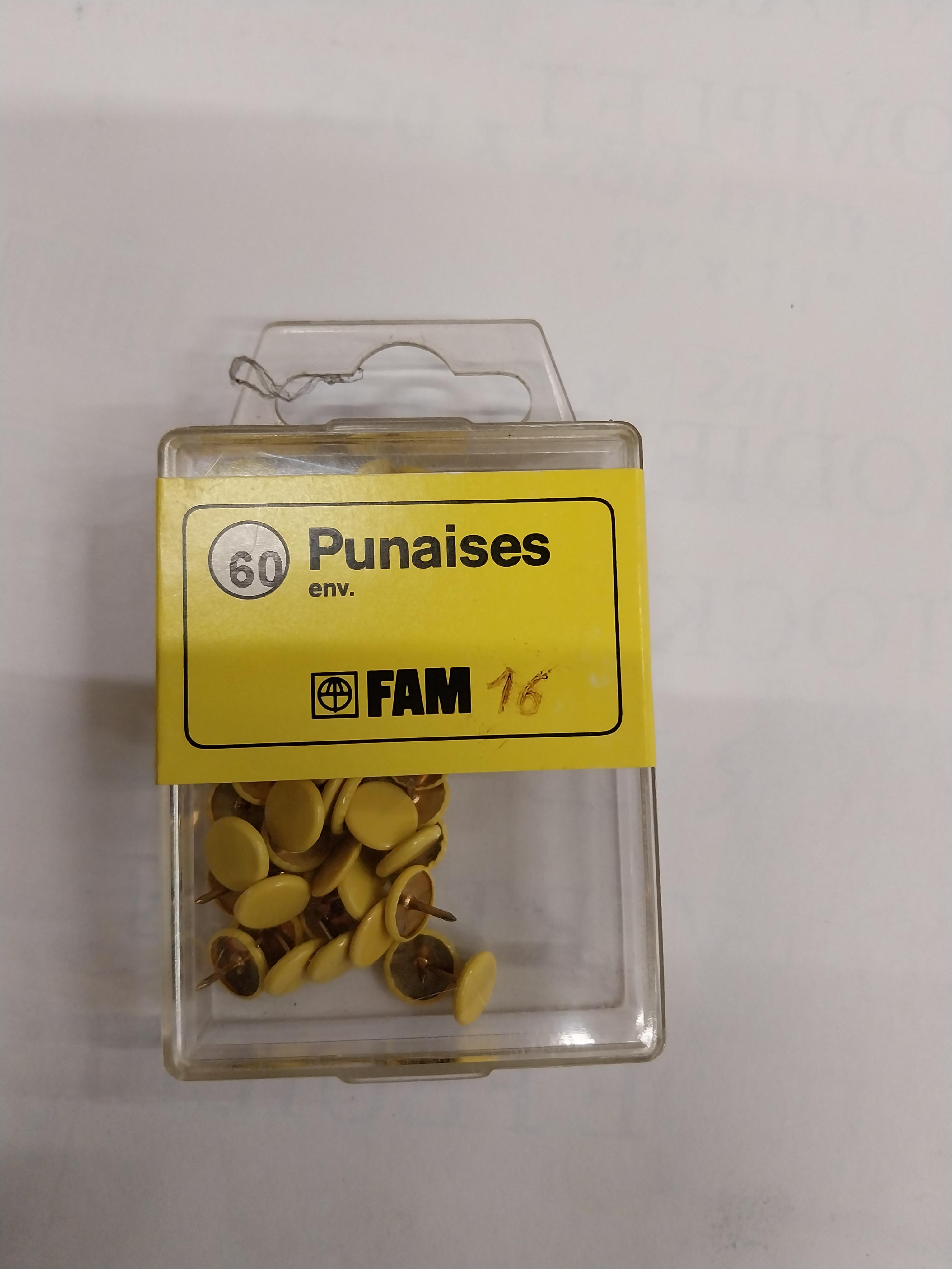 BLISTER DE 60 PUNAISES