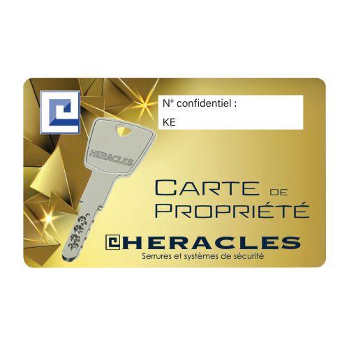 HERACLES 863860-02-0AFB jeu de cylindre cylindre de 60 mm 4 clés KESO 8000