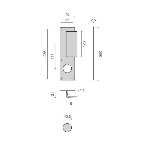 Poignée palière sur plaque BASTILLE 70 x 250 MM - Alu. - Champagne - Sésame