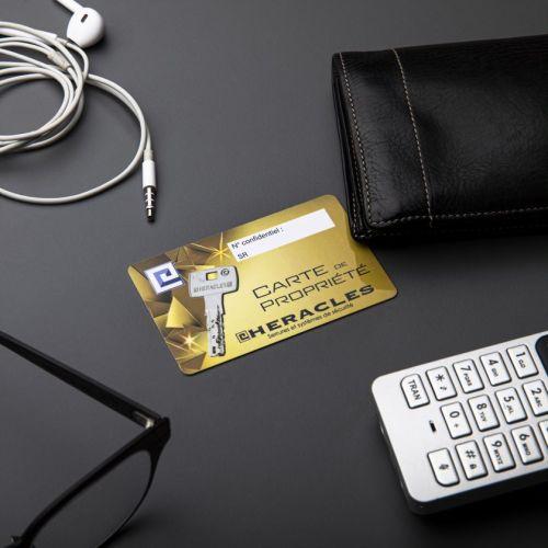 HERACLES DOMSR.SES.DT cylindre à double entrée A2P* 30 x 60 mm pour carénée Sésa