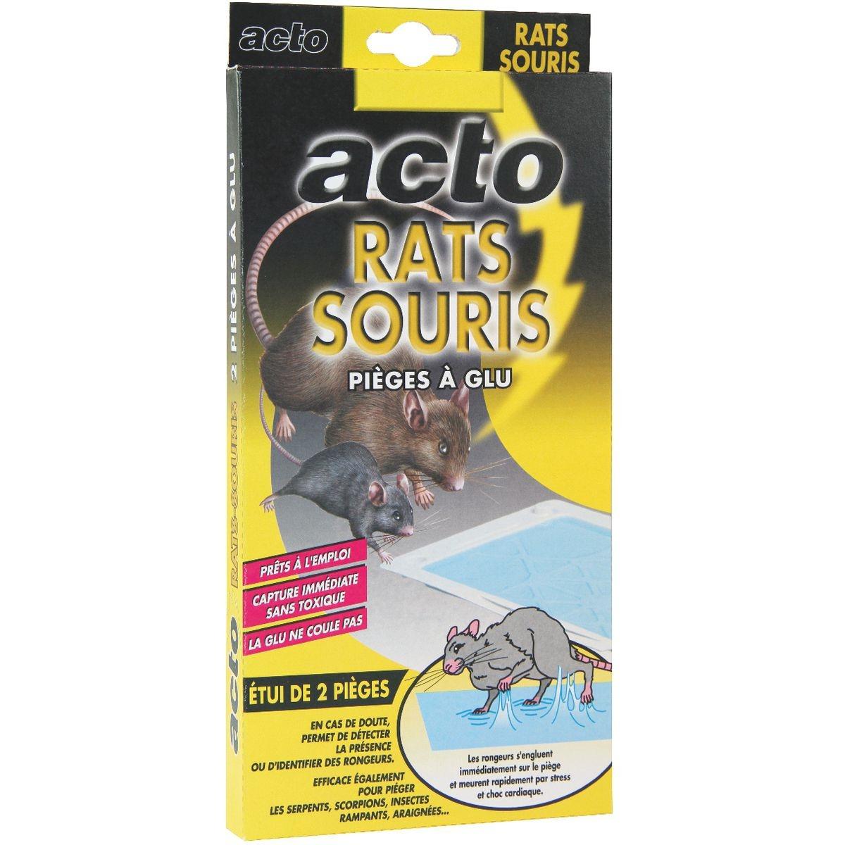 PIEGE GLU RAT/SOURIS P/2  GLU1