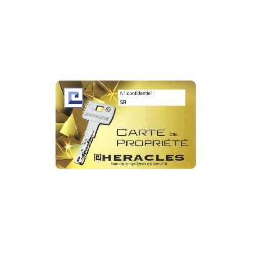 HERACLES DOMSR.SES.DT cylindre à double entrée A2P* 30 x 60 mm pour carénée Sésa