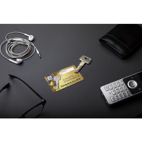 HERACLES DOMSR.SES.DT cylindre à double entrée A2P* 30 x 60 mm pour carénée Sésa