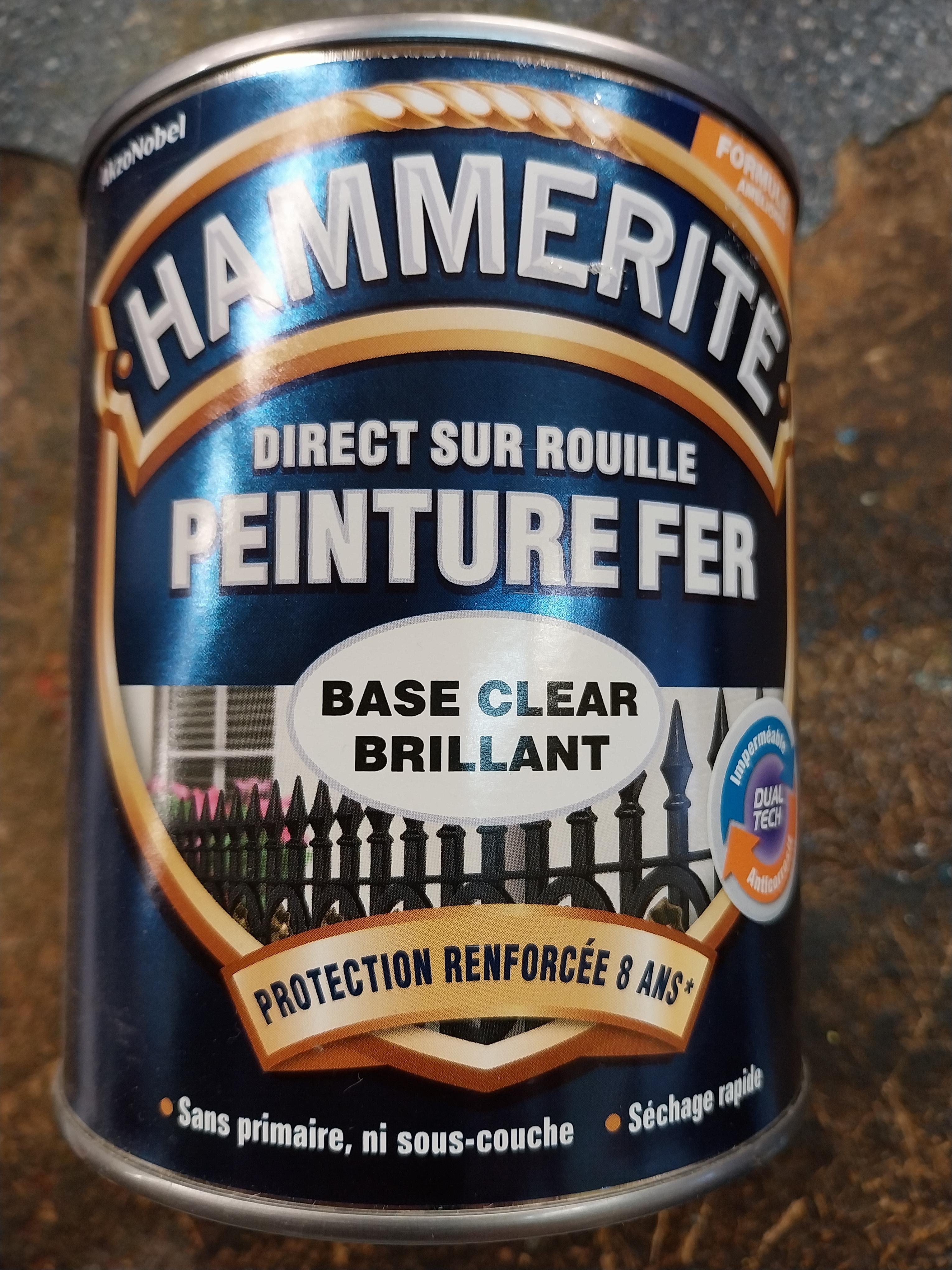 PEINTURE FER - DIRECT SUR