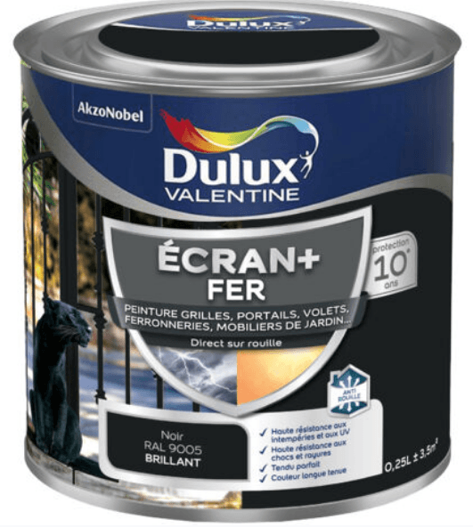 ECRAN+ FER BRILLANT NOIR 0,25L