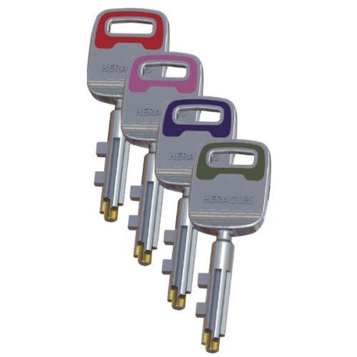 HERACLES NP8539000H verrou de blocage 8539 avec cylindre de 52 mm