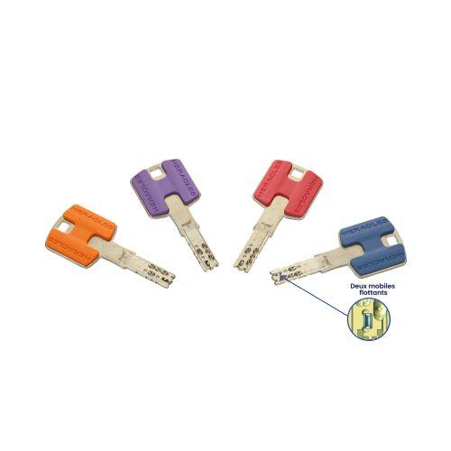 HERACLES HQ2.FICH jeu de cylindres type FI87 HQ2