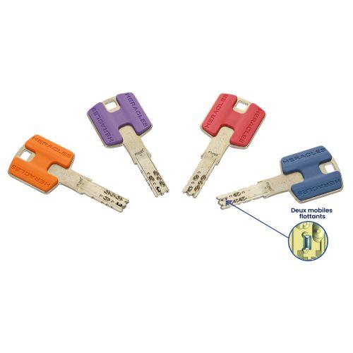 HERACLES HQ2.FICH3 cylindre monobloc type FI66 4 clés HQ2