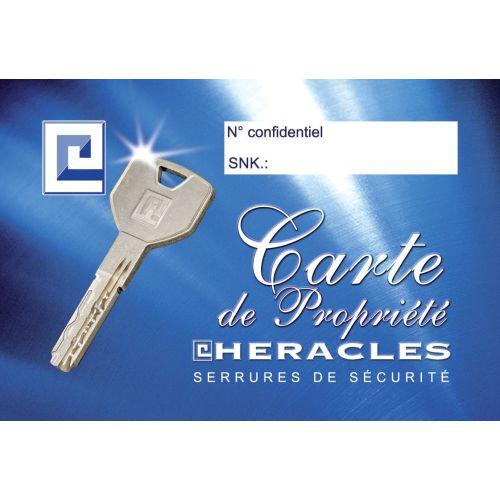 HERACLES SK-10083151 cylindre à double entrée 31,5 x 51,5 mm SNAKE