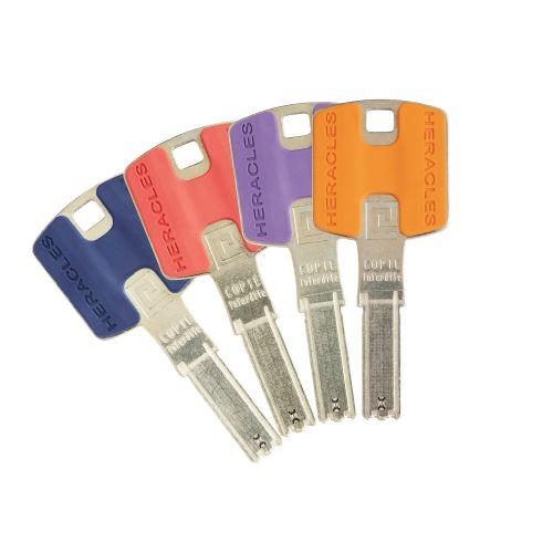 HERACLES HQ2.FICH jeu de cylindres type FI87 HQ2