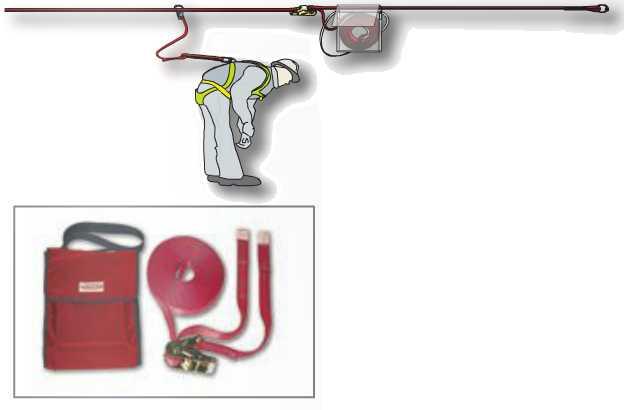 LIGNE DE VIE HORIZONTALE